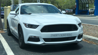 This Ford Mustang Is Really Owning It